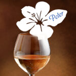 Hibiskus Filigree - White